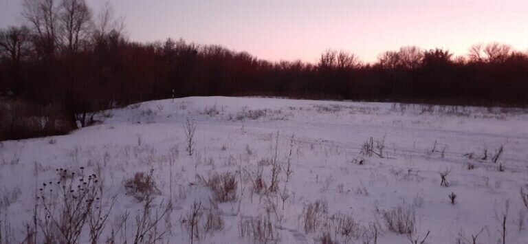    Снег, туман, изморозь и до -28 градусов ожидаются в Оренбуржье в ночь на 25 января Кристина Просвиркина