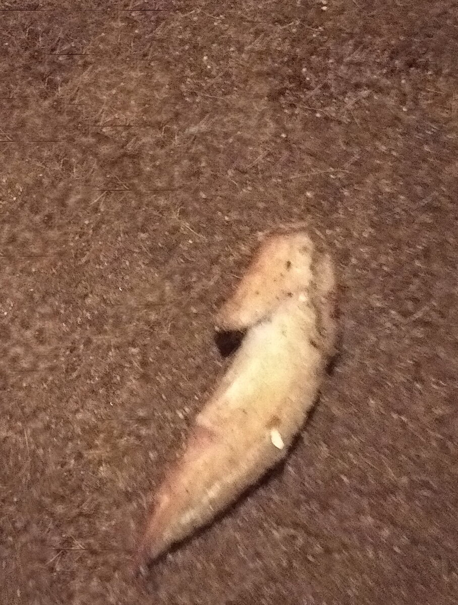 Личное  фото