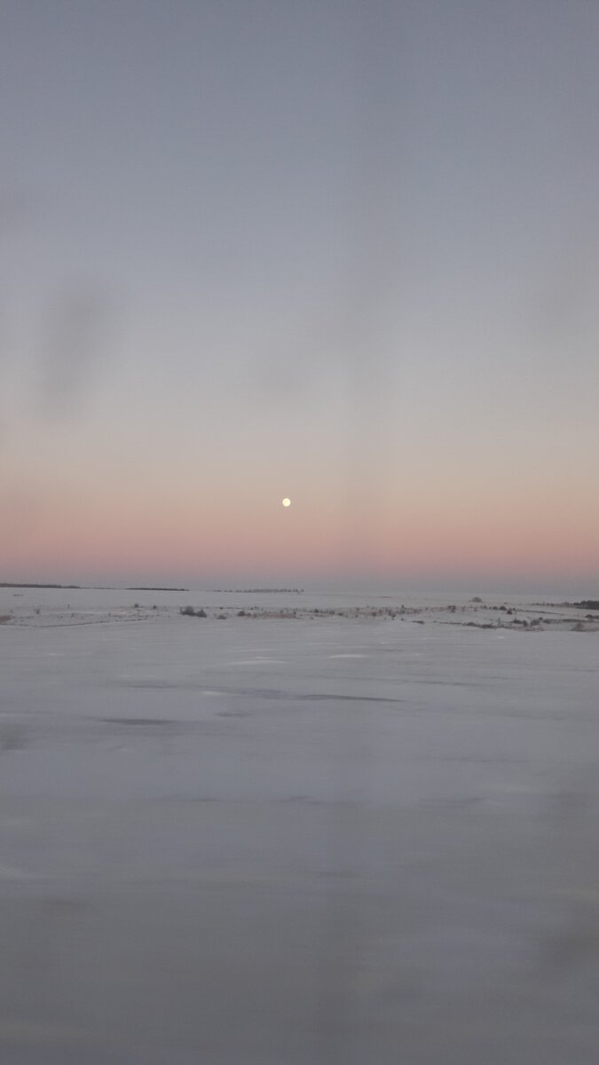 Фото автора по дороге в Энгельс. Саратовские степи.