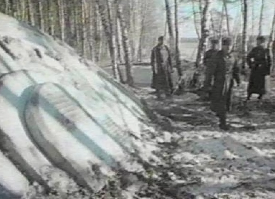 НЛО (2021) - UFOS - OVNI(S) - кадры из фильма - европейские фильмы - Кино-Театр.