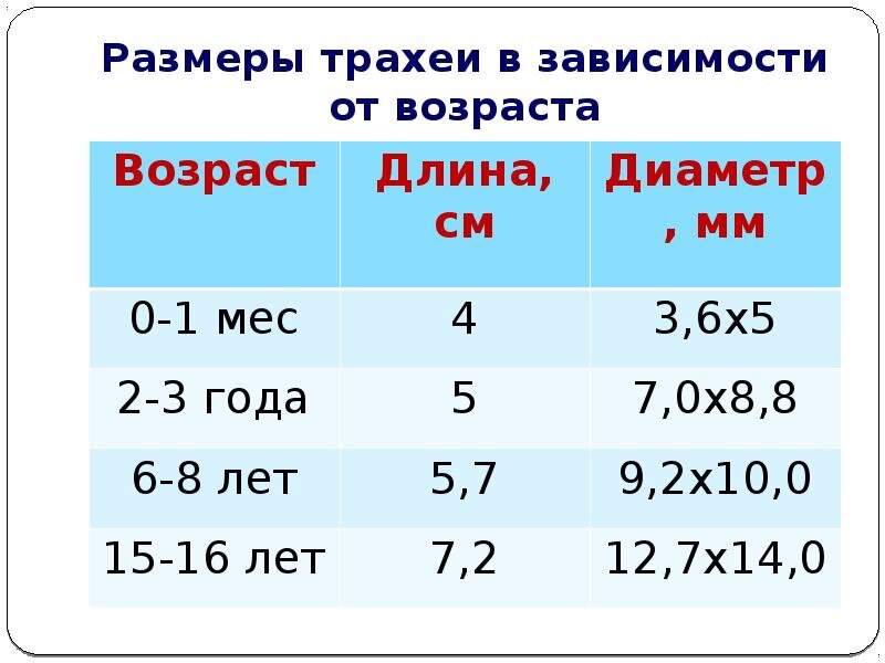 У детей до 3 лет диаметр трахеи не больше 1 см, т. е., это, конечно, очень приблизительно, игрушка и её съёмные детали должны быть в диаметре не менее 1 см. 