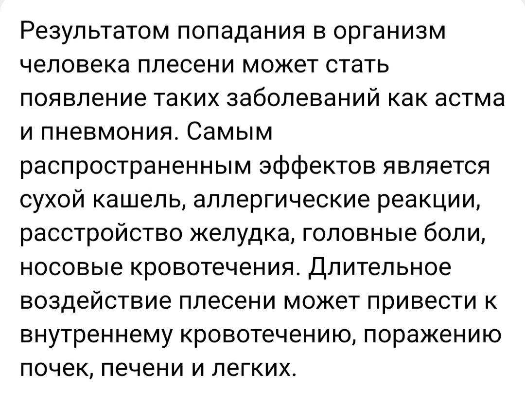 Плесень в палате. | Сад, цветы, путешествия..про жизнь | Дзен