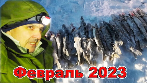 Рыбалка февраль 2023. Рыбалка на балансир и жерлицы.