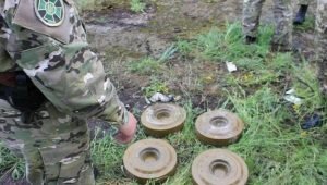    Фото: news.gtrklnr.ru Святослав Лавренко