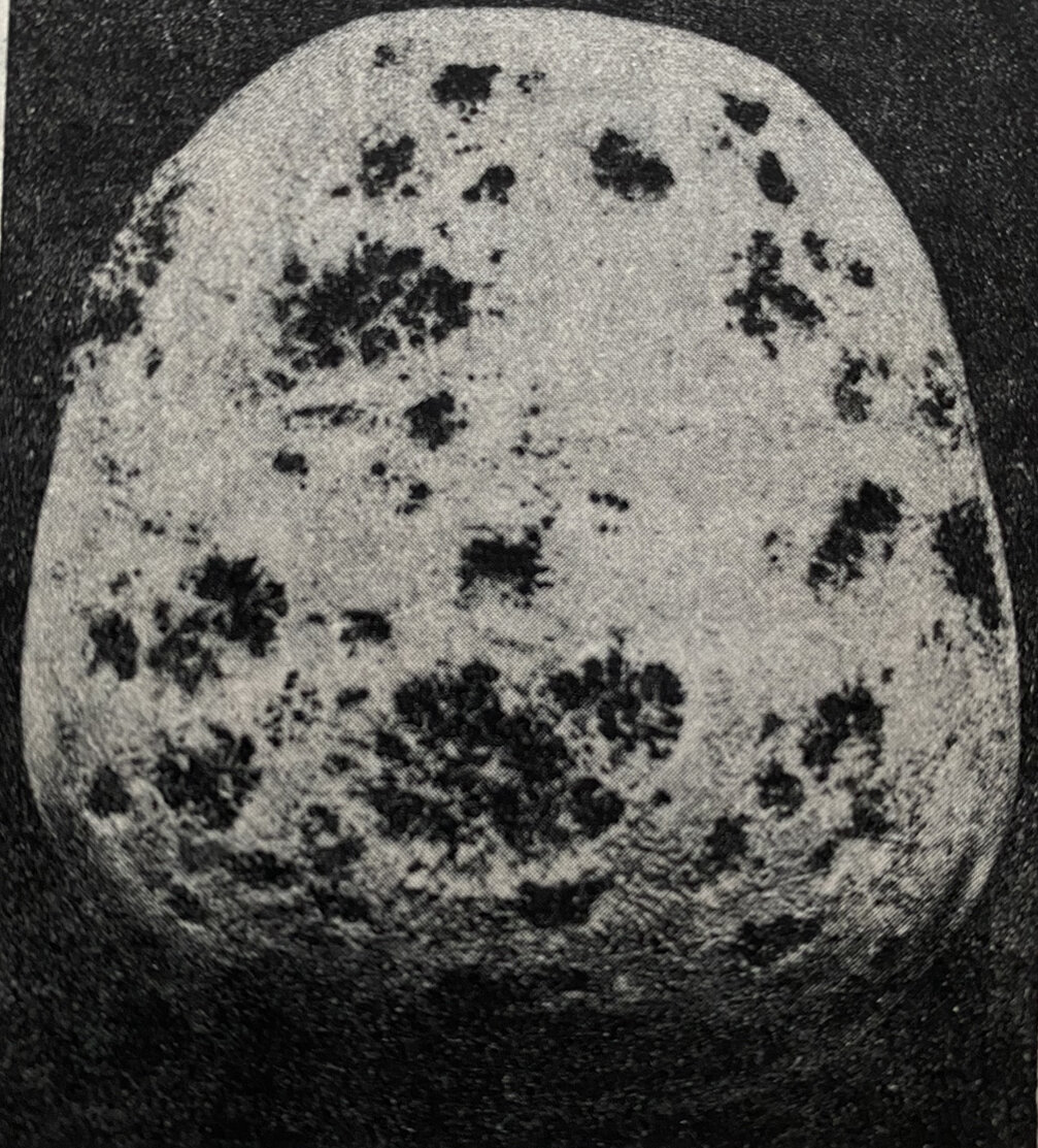 Фото автора из книги. 