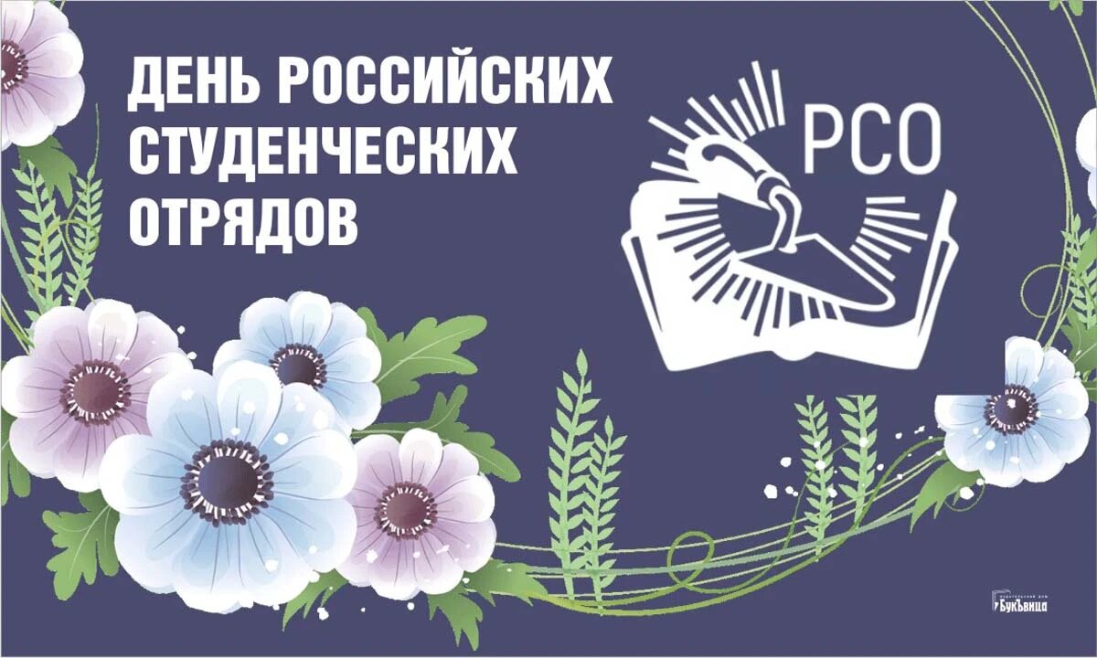 День российских студенческих отрядов. Иллюстрация: «Весь Искитим»