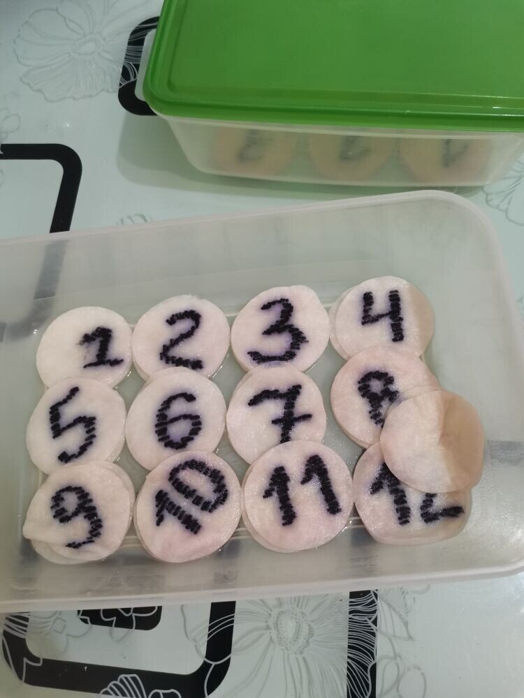 Достаём семена в соке Алоэ.