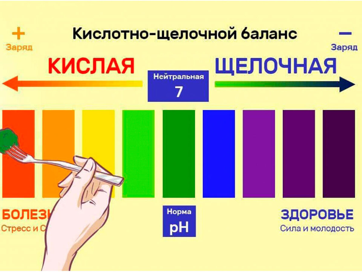 Кислотно щелочной баланс. Кислотно-щелочной баланс напитки. Кислотно-щелочного баланса шоколада. Кислотно-щелочное равновесие 2020. Схема продуктов кислотно щелочной баланс.