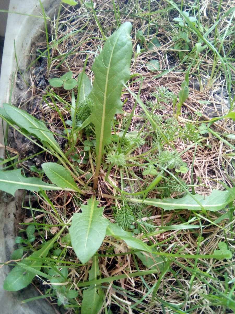 Садик котика в феврале