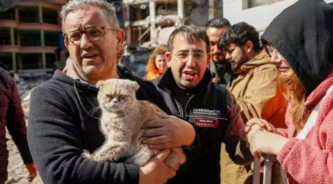 Фото: телеграм-канал «Главные новости Турции»