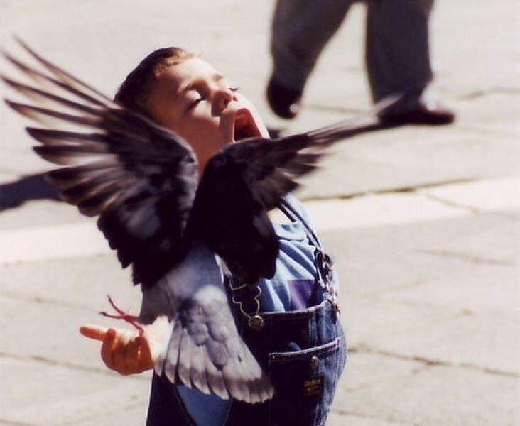Мальчик и птица полностью. Ваня, мальчик-птица (Россия, 2008 год).. Ваня Юдин птица. Ваня Юдин Маугли 2008.