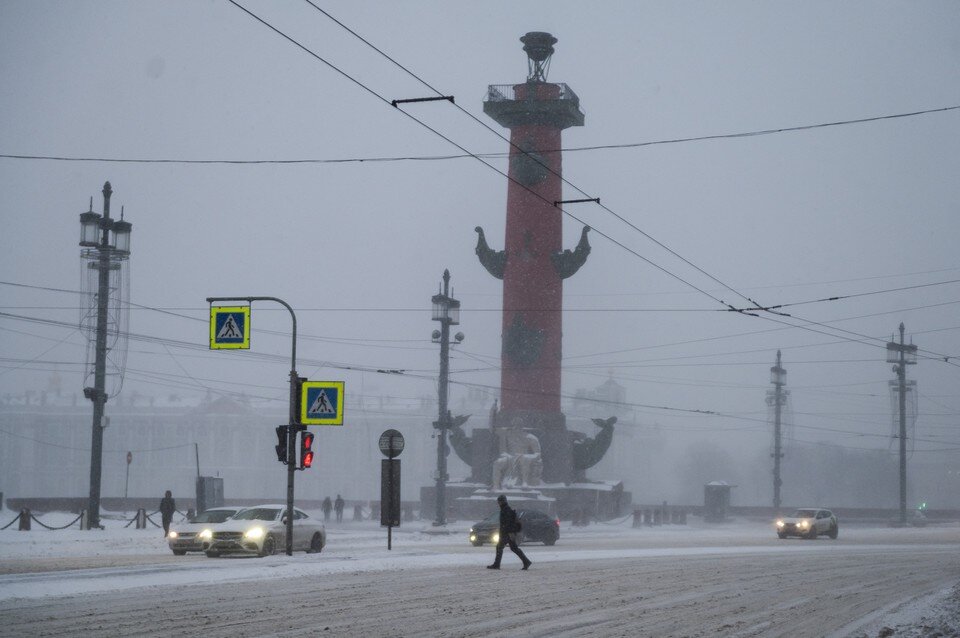     МЧС предупредило о сильном ветре в Петербурге 28 февраля  ПЫХАЛОВА Юлия (архив)