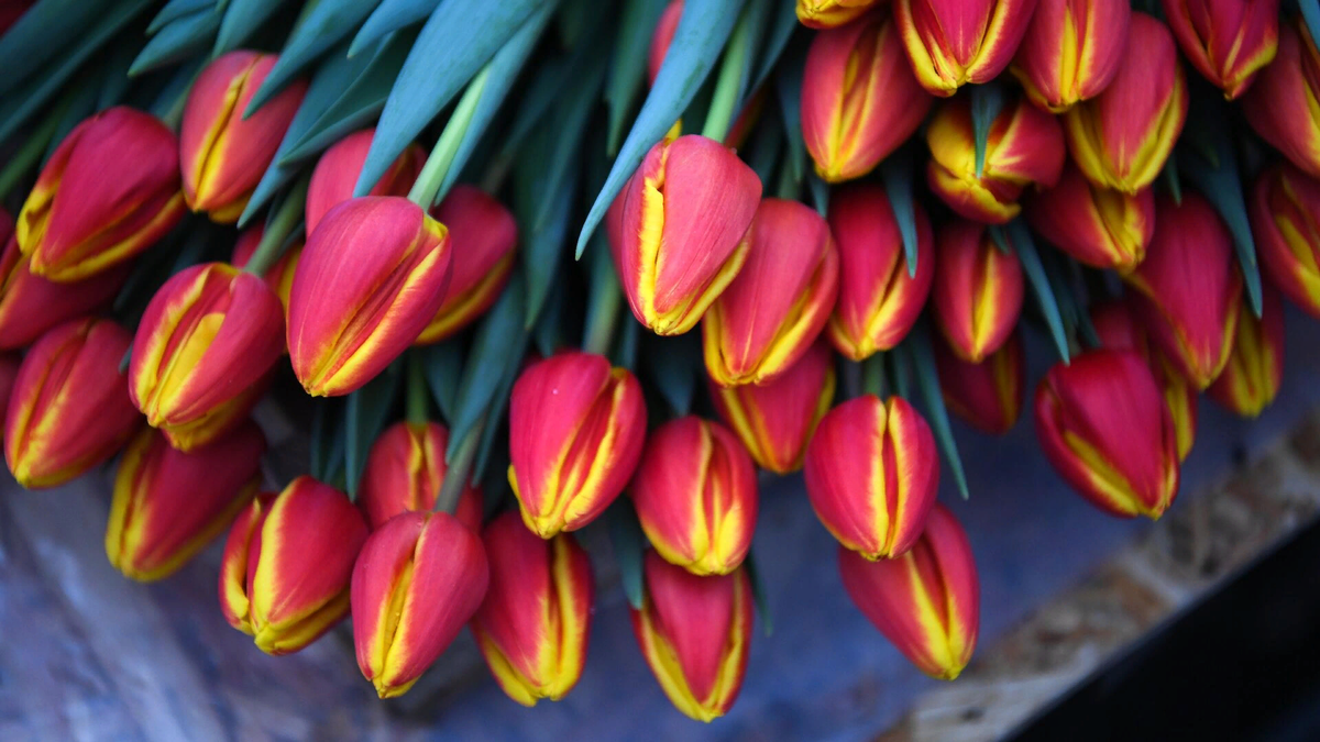 Изображение использовано в качестве иллюстрации. Фото с сайта sputnik.by.