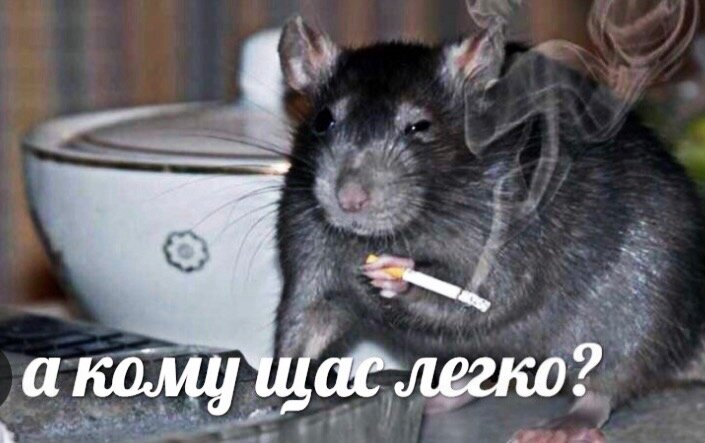 Картинка взята из просторов инета с иллюстративной целью  