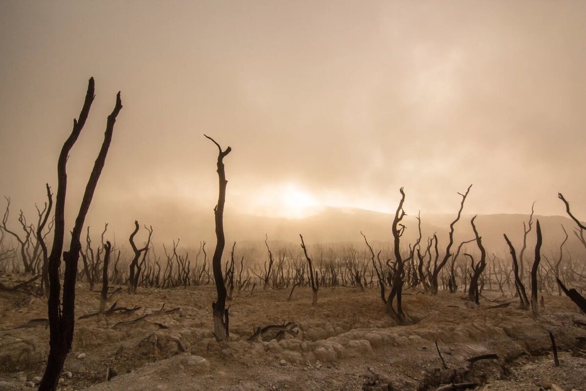 Картинка взята из открытых источников. Все права на рассказ принадлежат автору. Запрещается копирование, распространение или любое иное использование информации и объектов авторского права без предварительного согласия правообладателя. 
