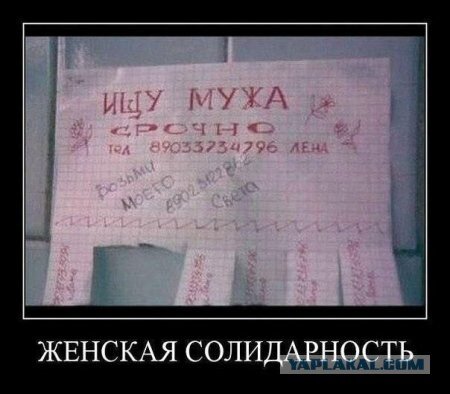 Находчивая манипуляторша