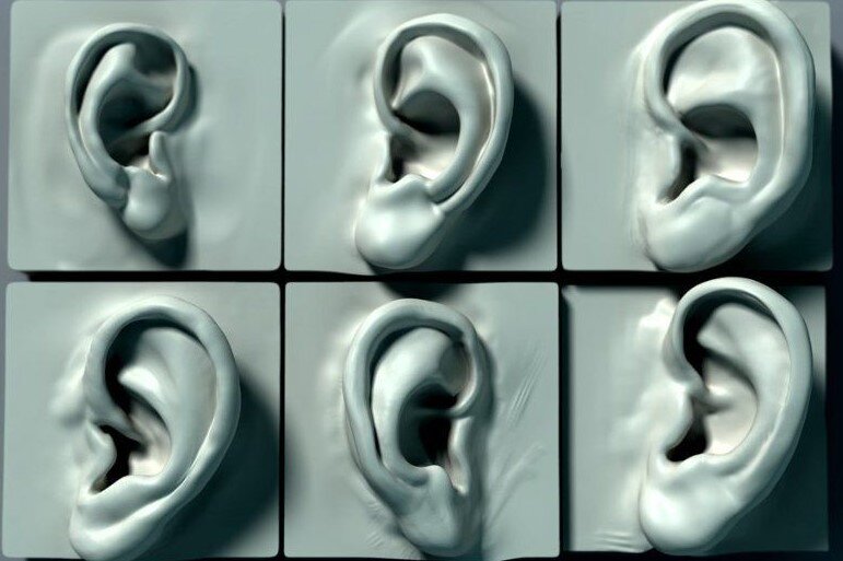 Различные формы человеческих ушей. Изображение из открытых источников.