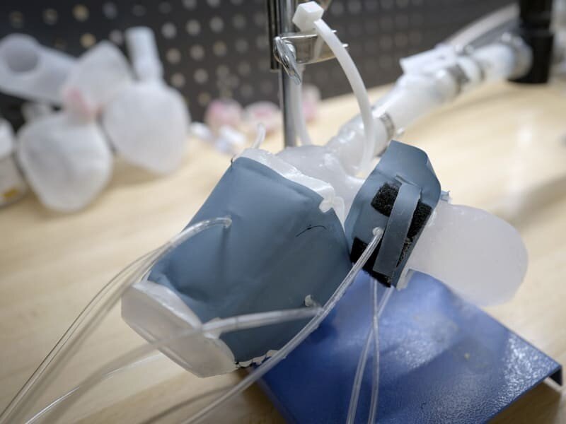    На 3D-принтере напечатали полный аналог человеческого сердца