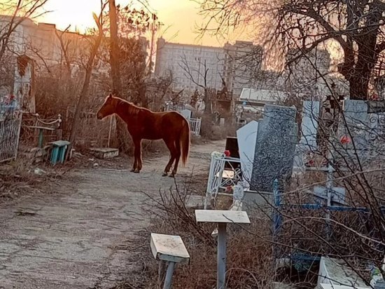   Соцсети