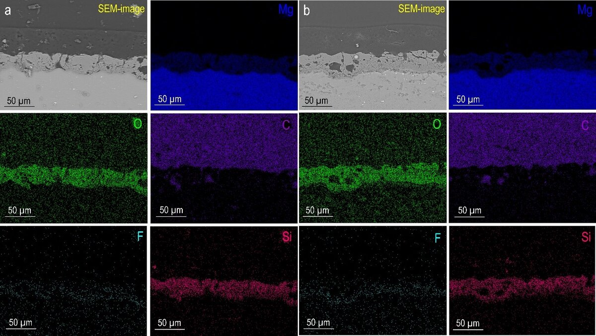 СЭМ-изображения и ЭДС-карты распределения элементов по толщине сформированных гибридных покрытий. Источник: Gnedenkov et al. / Polymers 2023