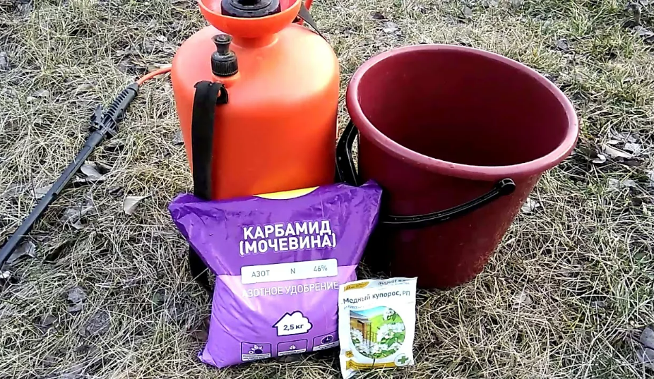 Фотография взята из источника adfarm.ru