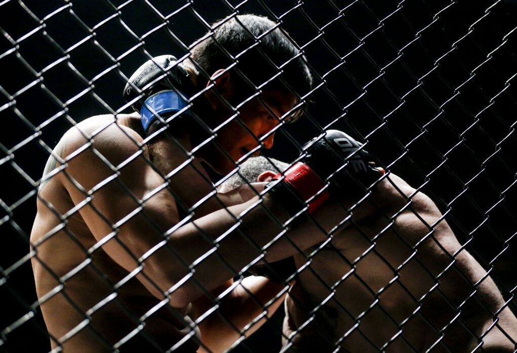    Фото: EPA / VOSTOCK-Photo