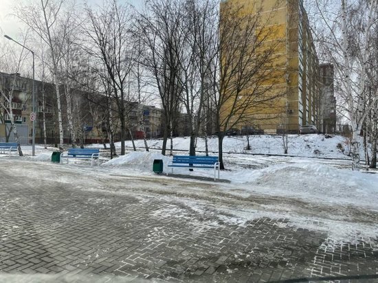     Фото: администрация Курска