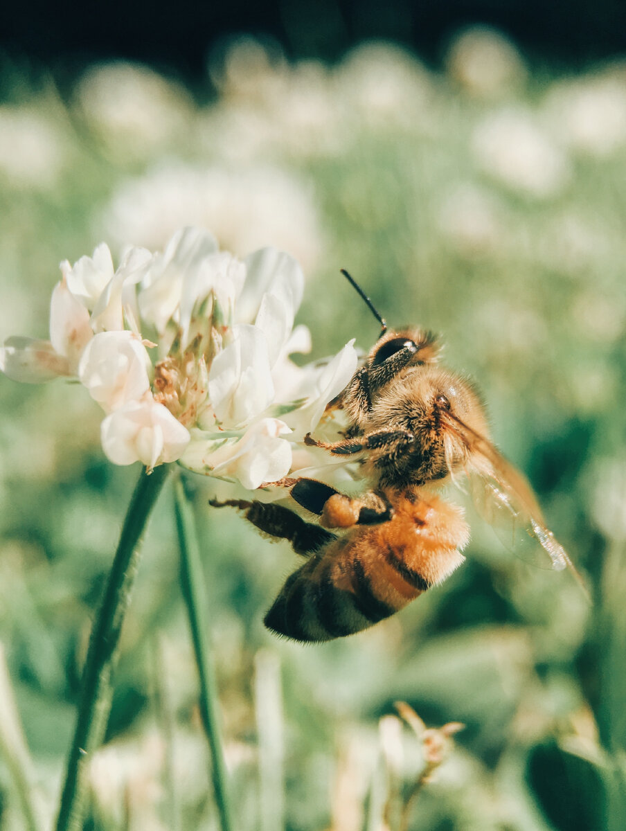 Фото автора Aaron Burden с сайта Unsplash