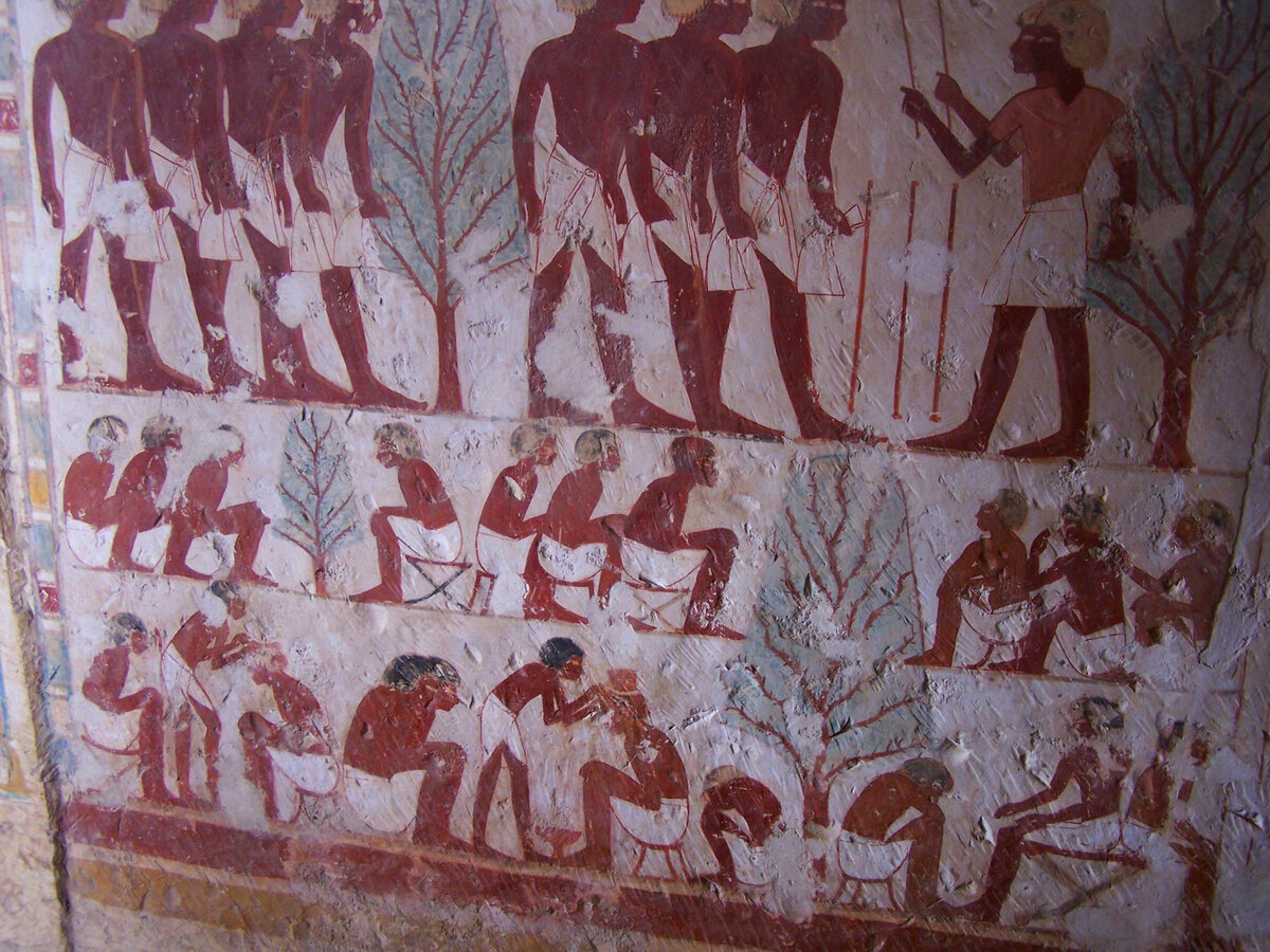 Сановник рассказал, как он заботился о своих солдатах. Как его храбрые солдаты приносят ему богатые трофеи, захваченные в боях, Как стоят в очереди у дверей его дома, держа коробки с драгоценностями. А фараон, держа в руках мерную веревку, рассказывает Гору, какую огромную территорию он выделил для строительства храма Гора. А построив, преподносит храм Гору и матери его Исиде, показывая ладони- знак, что руки его чисты перед богами. Гор, как праотец всех фараонов, стоит в двойной короне верхнего и нижнего Египта, а сам фараон в праздничной короне, украшенной рогами Хнума. На последних фотографиях сановник рассказывает, как умело он организовал птичьи фермы: его работники откармливают гусей. Ну и показывает, сколько жертв он приносит богам.