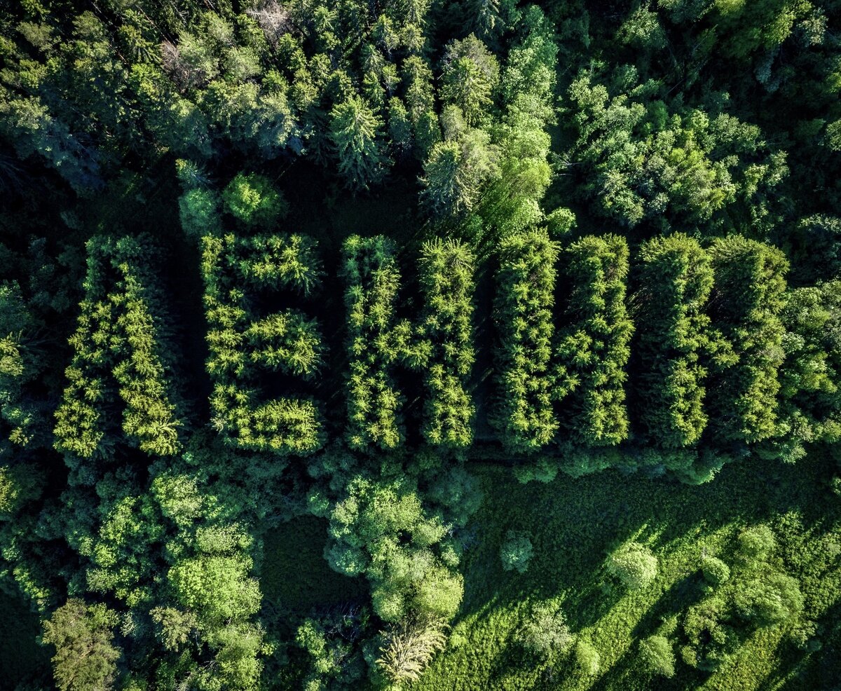 Фото с высоты птичьего полета