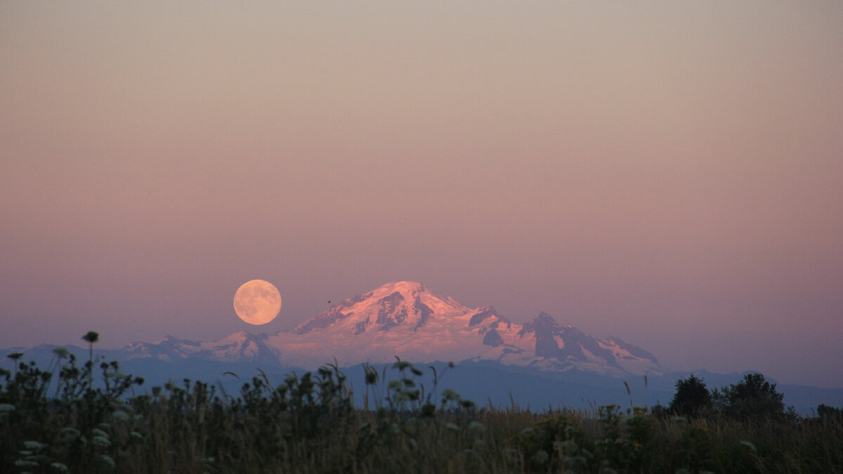 Photo by zan douglas on Unsplash