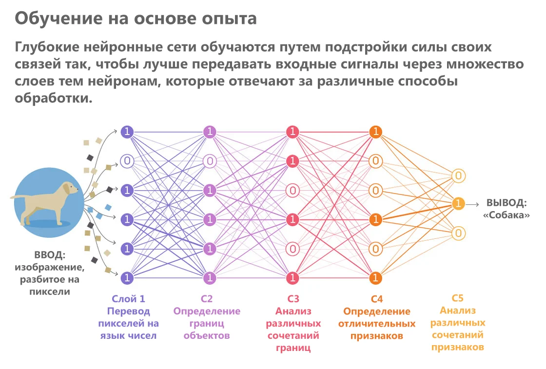 Обучение нейронной сети распознавать изображения