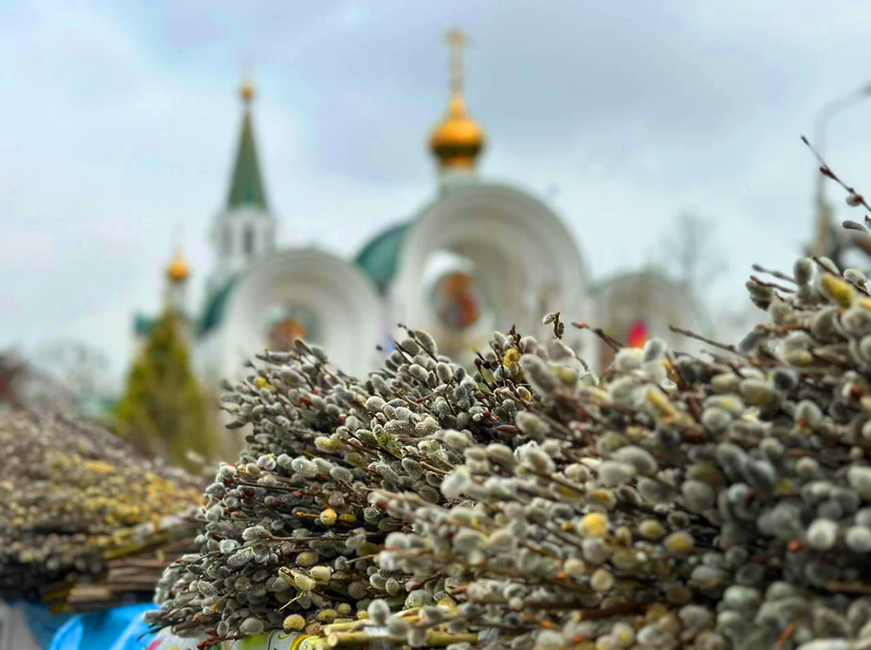 Вербное в 2024 г. Верба Церковь Вербное Воскресение. Вербное воскресенье храм Живоначальной Троицы Москва. Верба праздник. С Вербным воскресеньем православные.