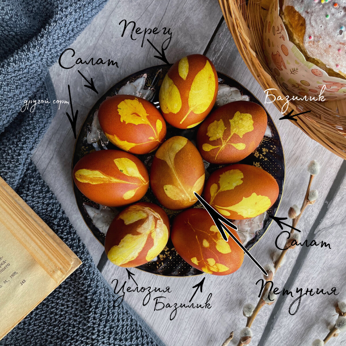 Фото автора.