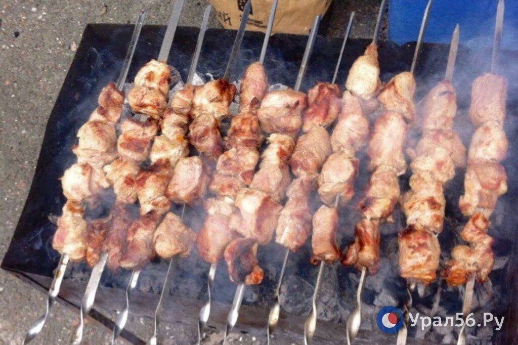    Какие штрафы ждут садоводов в России в 2023 году? Разводить кроликов разрешили, а сбивать дроны — нет