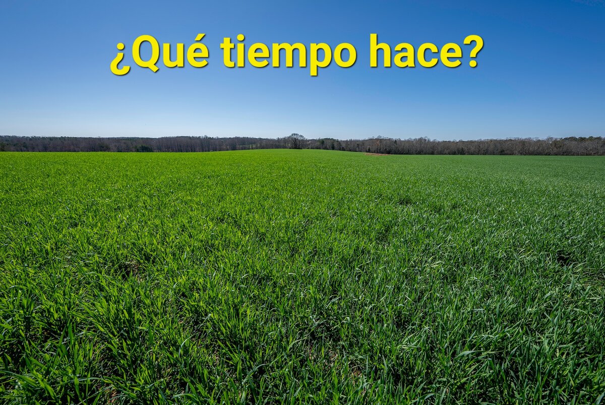 Изображение взято из открытых источников 