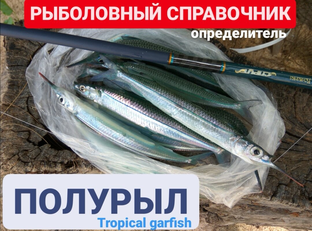 Ловил лично.