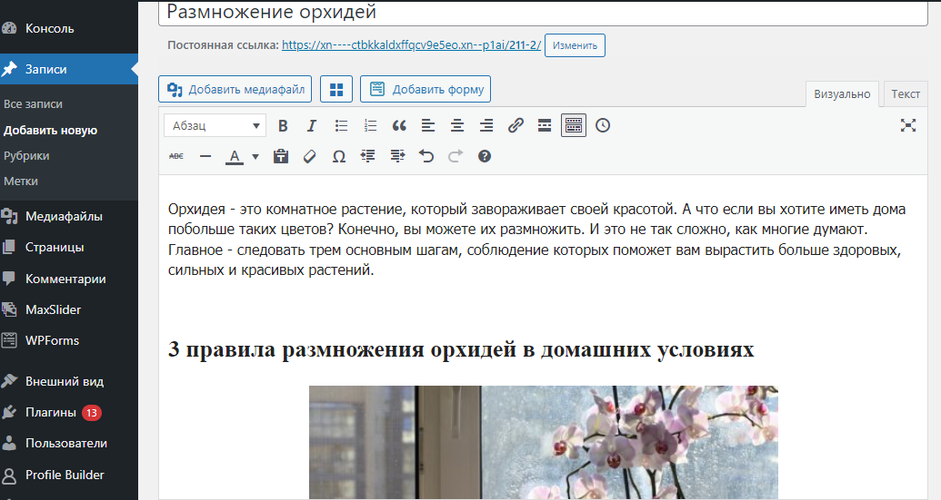 Это административная консоль сайта на Вордпрессе. Так выглядит сайт изнутри. Тут я размещаю статью, выделяю заголовки, подбираю картинки и делаю еще другие вещи, чтобы статья выглядела на сайте красиво и хорошо продвигалась в поиске Яндекса и Гугла. 