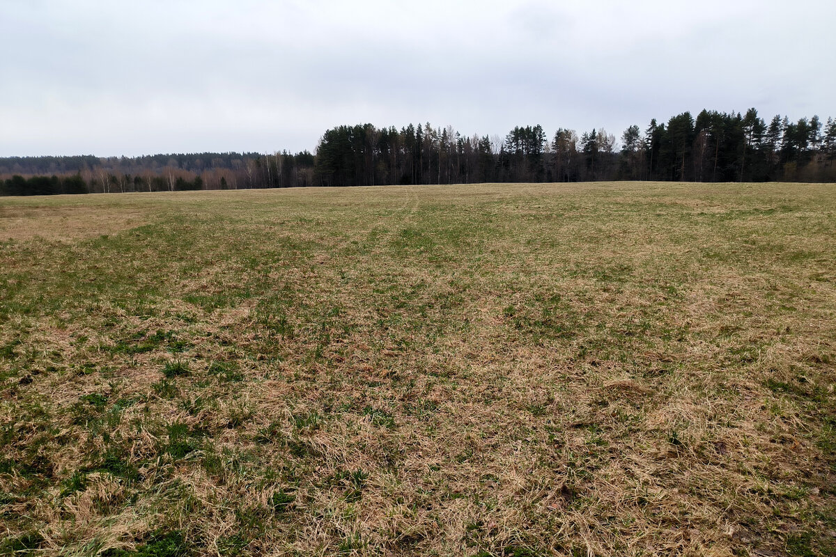 Фото: Maksim Konstantinov/Global Look Press