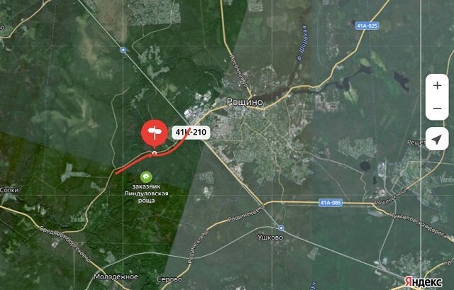 Дорога в Линдуловскую рощу | Журнал ПРИГОРОД | Дзен