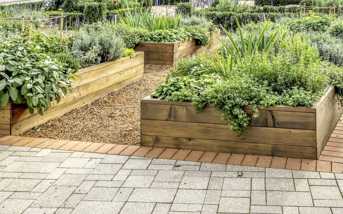    Деревянные грядки: красиво, удобно. А насколько долговечно?