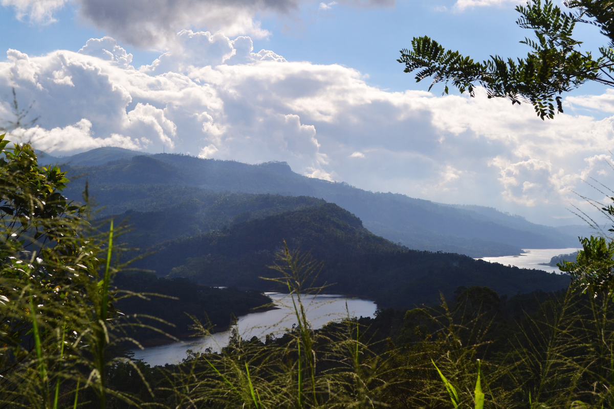 Природа на Шри Ланке