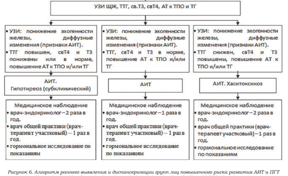 Определение содержания антител к тиреопероксидазе в крови(А-ТПО)