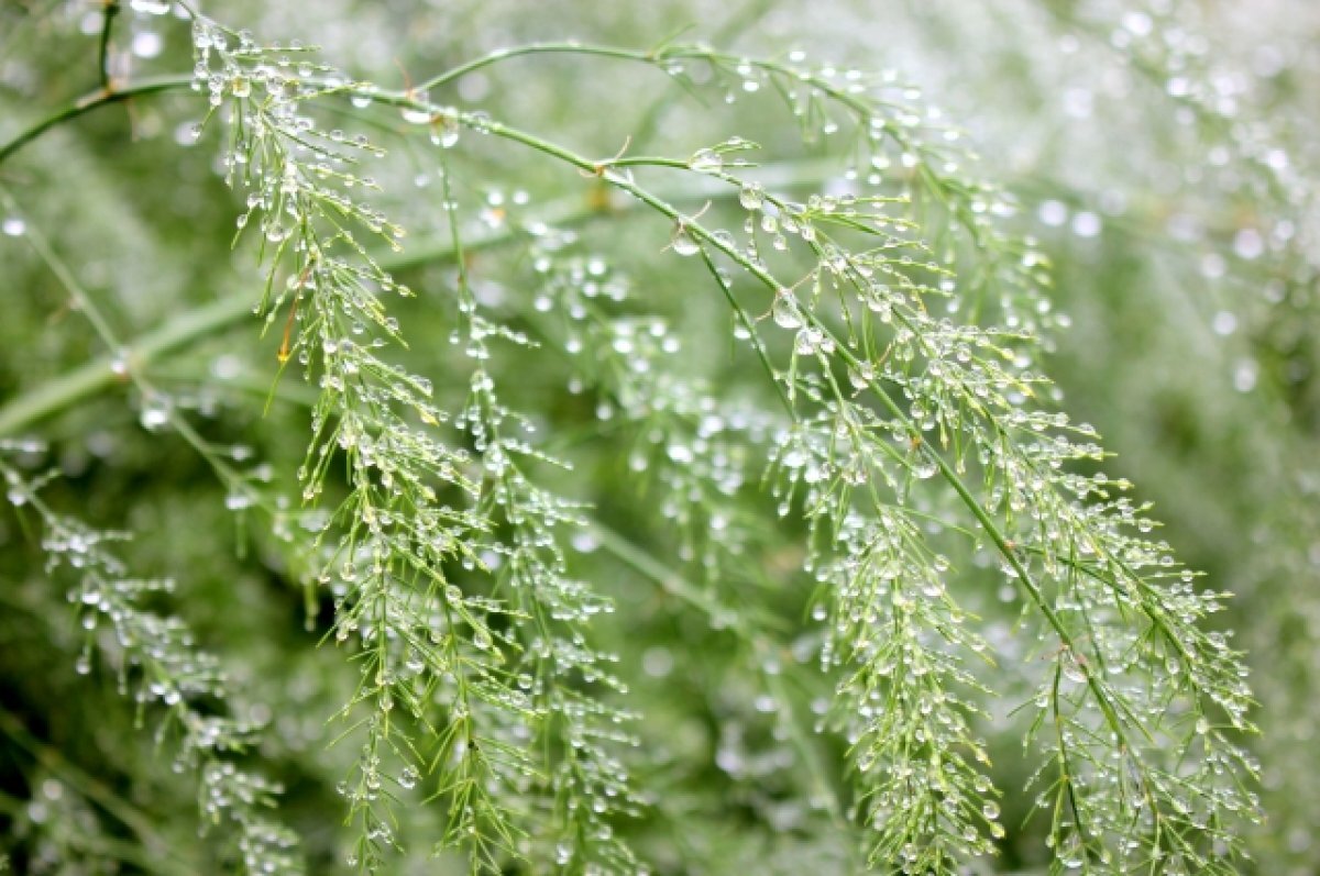    МЧС Ставрополья предупредило жителей края о сильном дожде и граде 22 мая