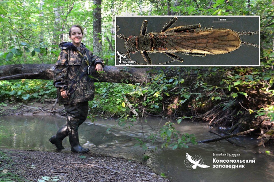    Изучая водоемы, ученая и не думала, что встретит новое существо ФГБУ "Заповедное Приамурье"