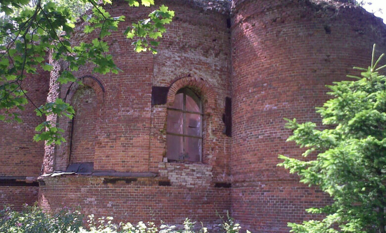 Фото: открытые источники