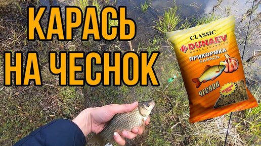 Ловля карася на фидер весной