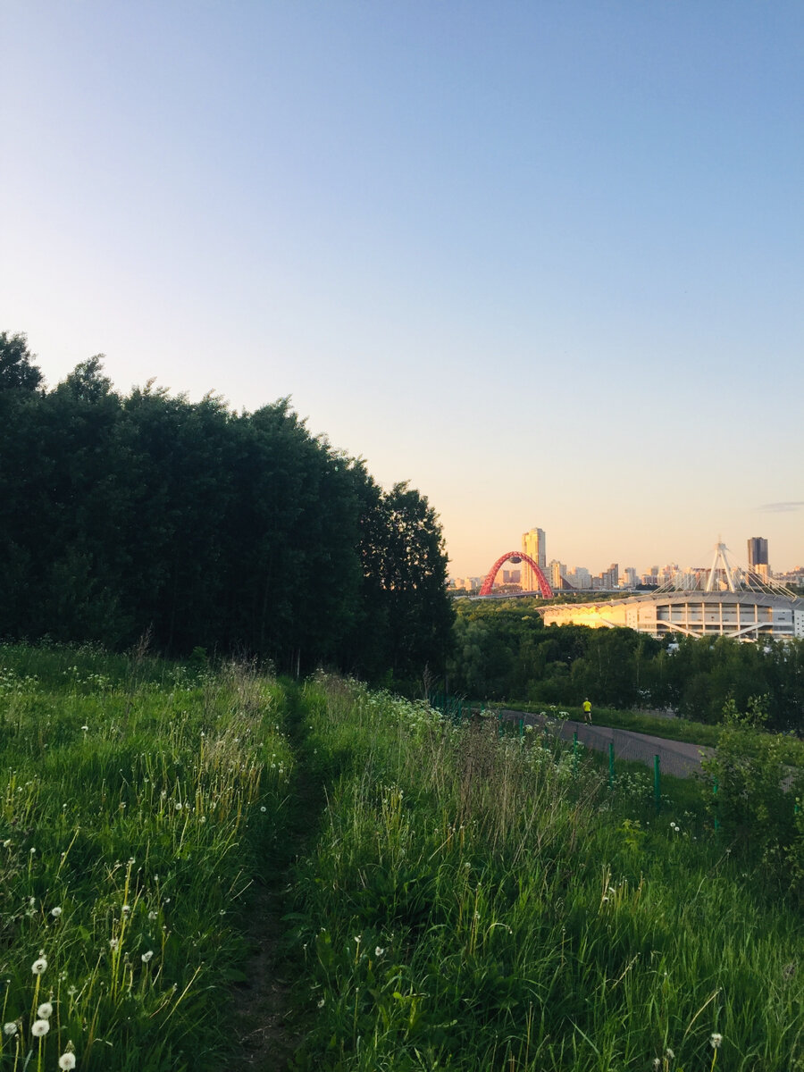 Бегуна видите? А он там есть. Фото сделано автором и принадлежит автору 