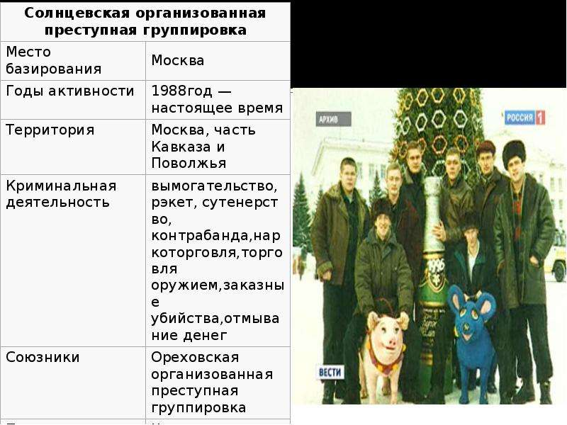 Список группировок. Группировка Солнцевская организованная преступная группировка. Солнцевская ОПГ. Список ОПГ. Список Ореховской группировки