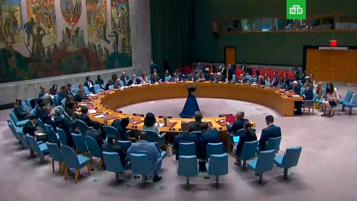    Кадр из видео: Ruptly